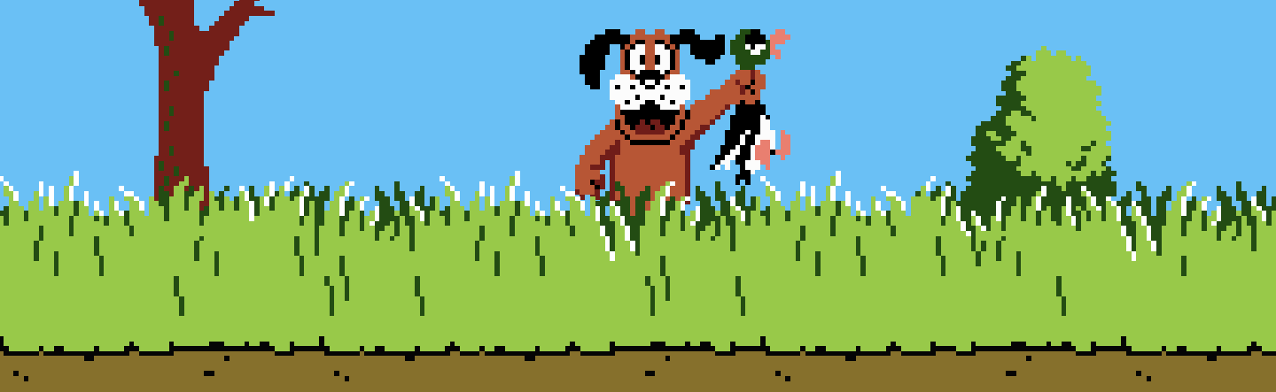 Duckhunt!